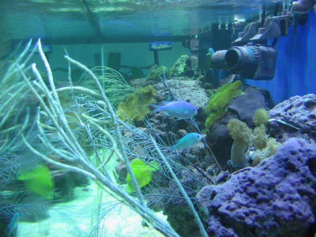 IMG_2409.JPG