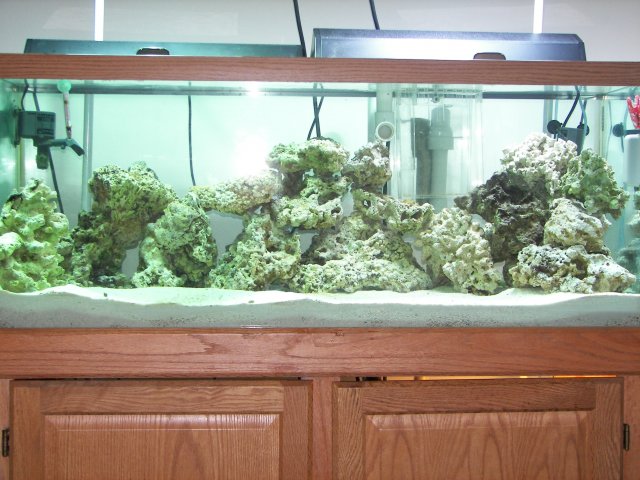 100_0218.JPG