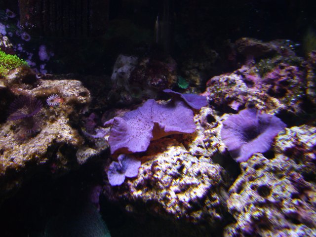 P1000322.JPG