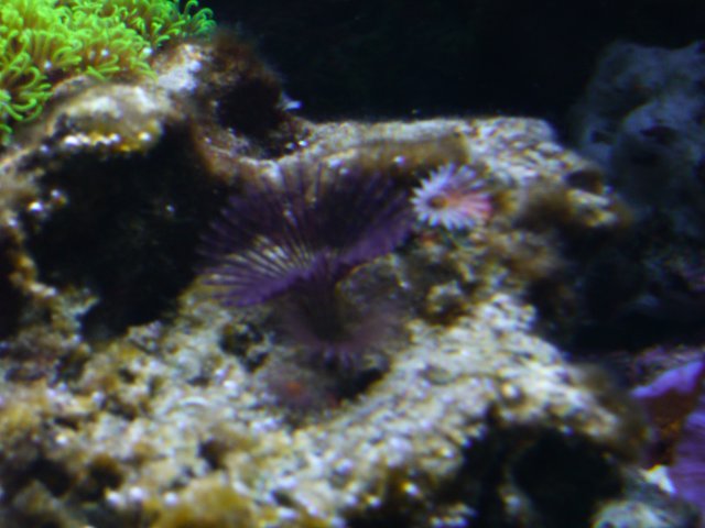 P1000318.JPG