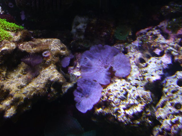 P1000305.JPG