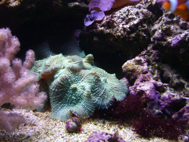 P1000311.JPG