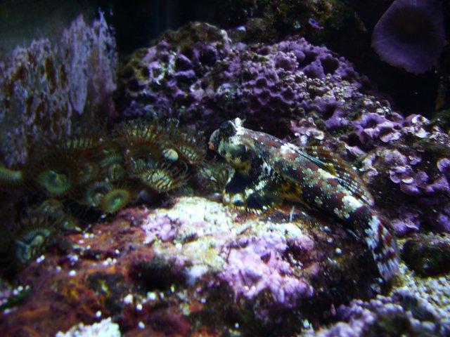 P1000405.JPG