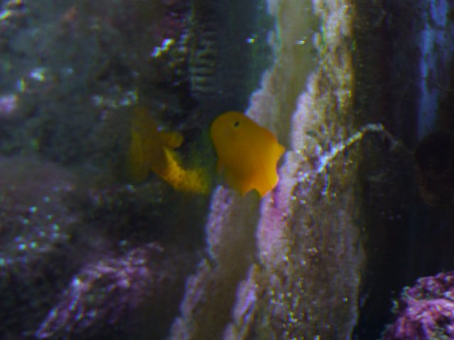 P1000407.JPG