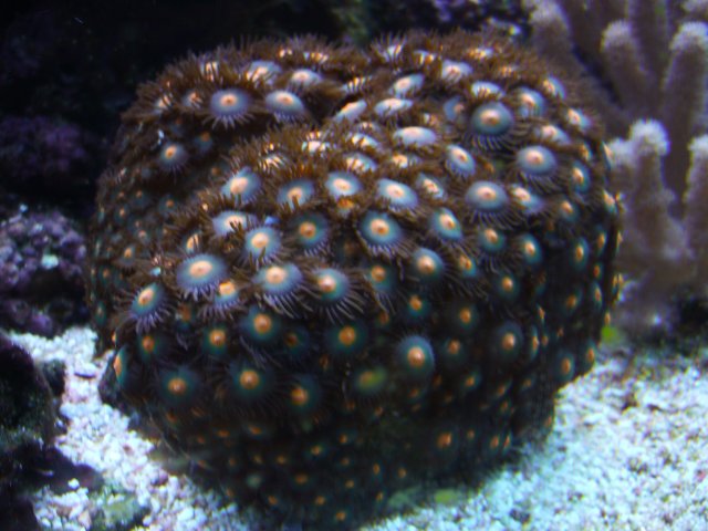 P1000409.JPG