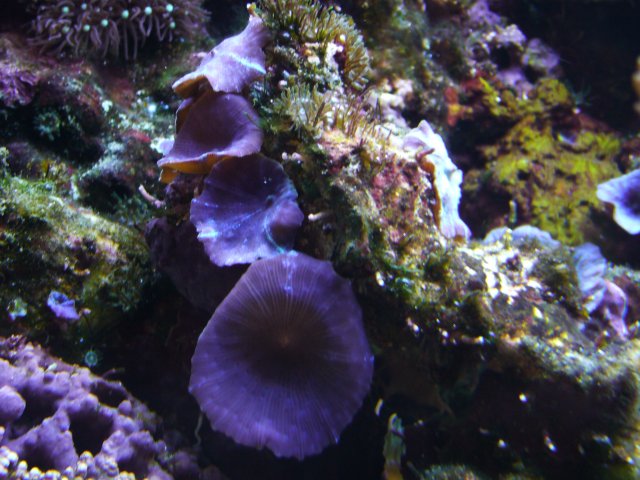 P1000416.JPG