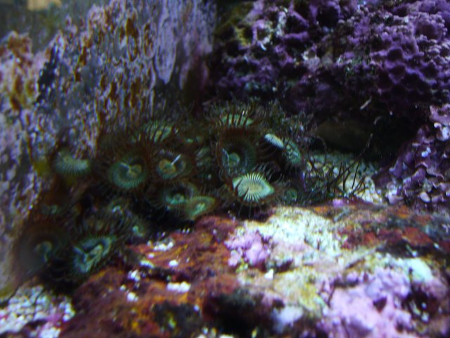 P1000423.JPG