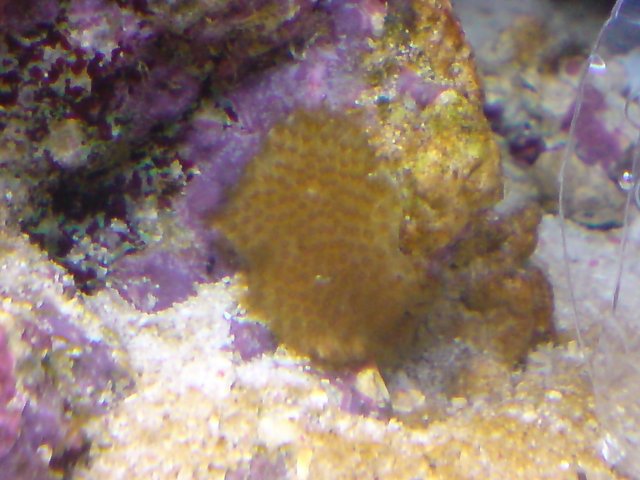 DSC00091.JPG