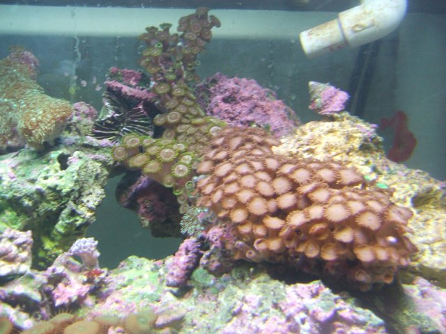 DSCF0106.JPG