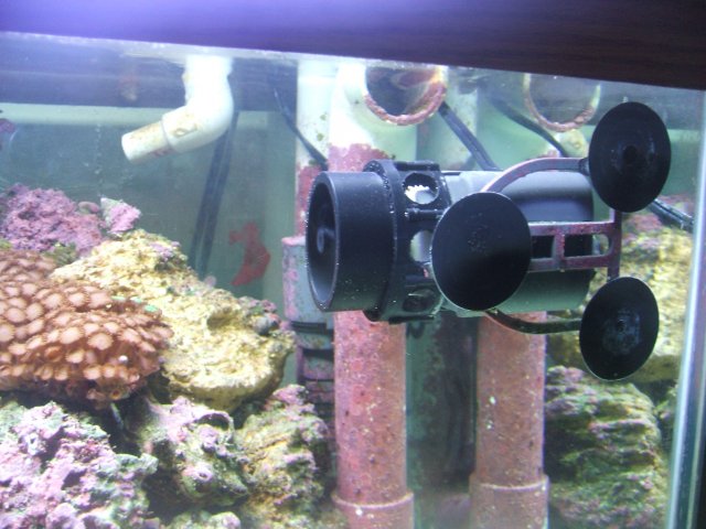 DSCF0105.JPG