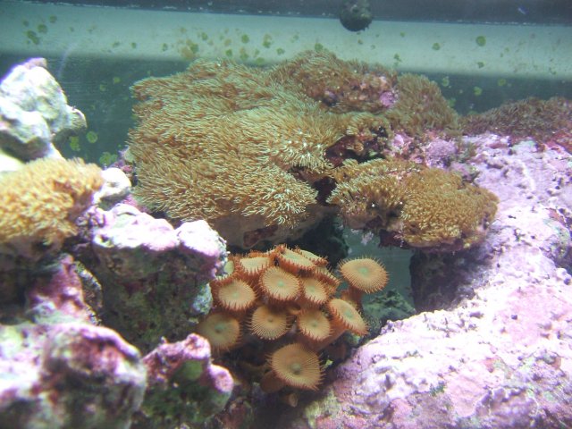DSCF0110.JPG