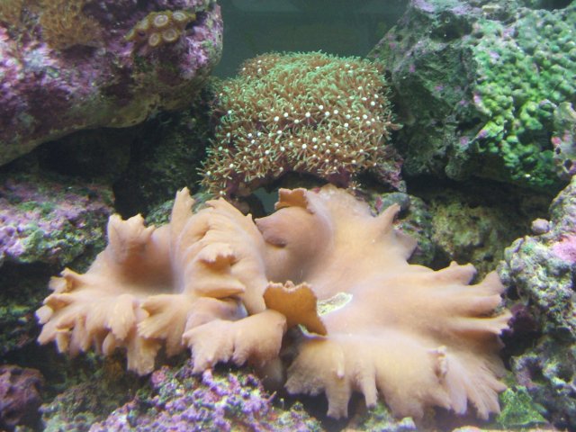 DSCF0107.JPG