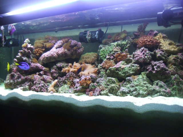 DSCF0120.JPG