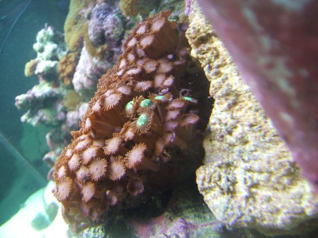 DSCF0123.JPG