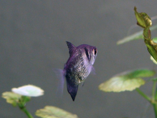 PB050098.jpg