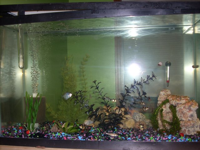DSCN0241.JPG