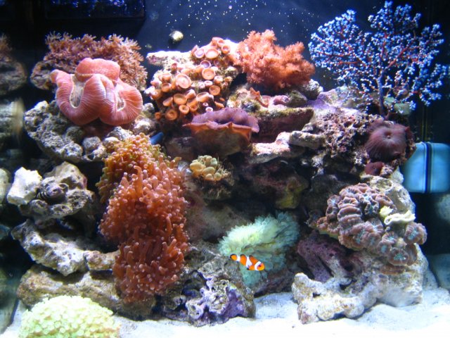 IMG_2832.JPG