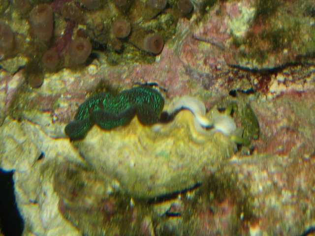 IMG_2837.JPG