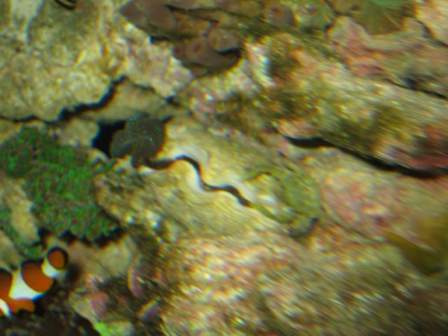 IMG_2838.JPG