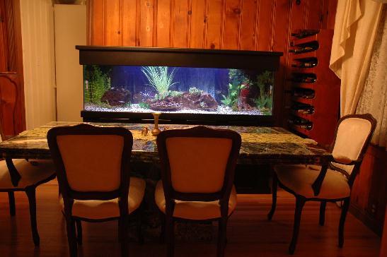 aquarium547x364.jpg