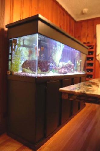 aquariumside.jpg aquariumside.jpg