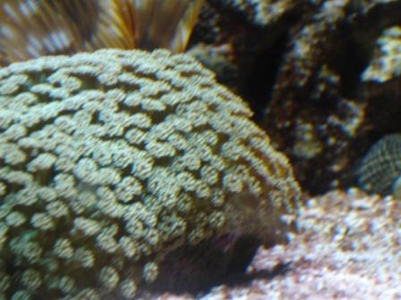 DSC00920.JPG