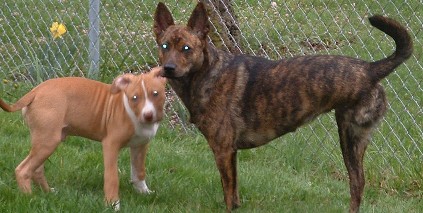 Audie and pup.JPG