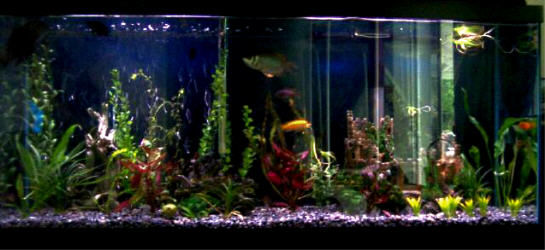 Front View of Tank.jpg