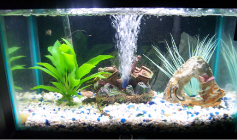 Hospital tank.jpg