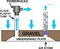 undergravel filter diagram.gif