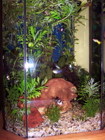 Tank2004a.jpg