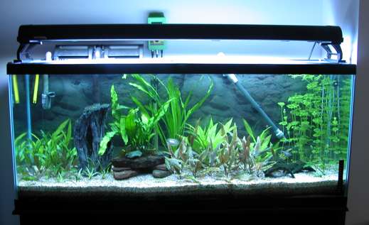 aquarium1.jpg