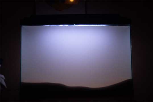 Hazy-Tank.jpg