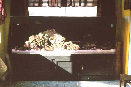 Full View.jpg