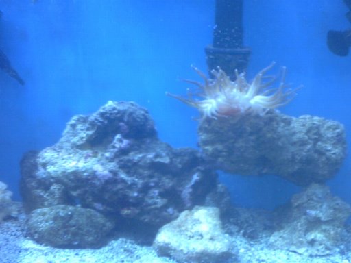 IMG00022.jpg