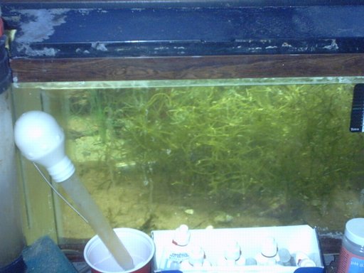 IMG00028.jpg