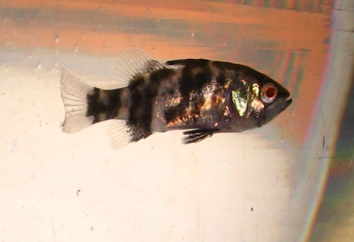 04.jpg