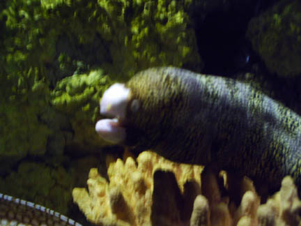 IMAG0008.jpg