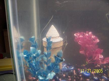 100_01072.JPG