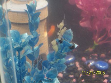 100_01202.JPG