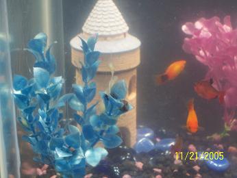 100_01192.JPG