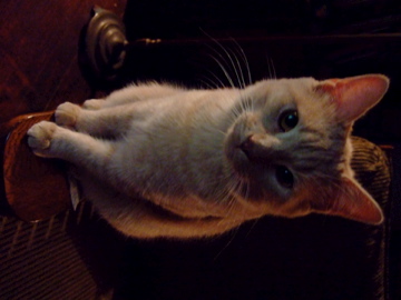 DSCF0596.jpg