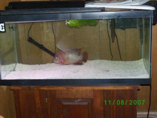SANY0498.JPG SANY0498.JPG
