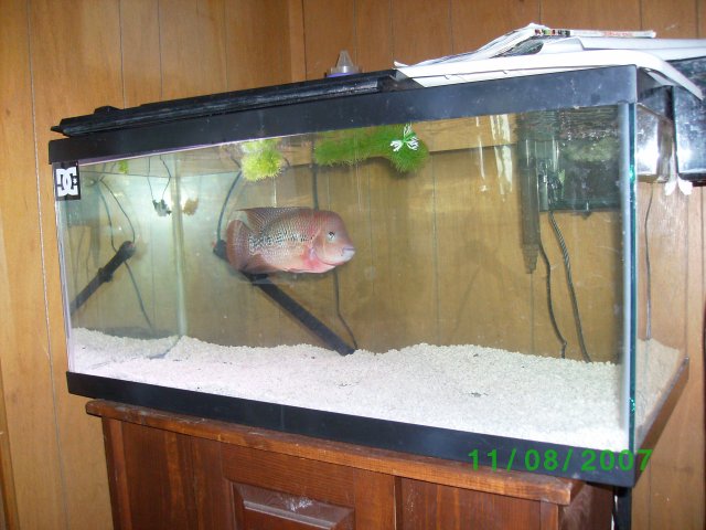 SANY0500.JPG SANY0500.JPG