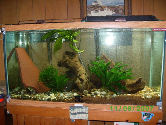 SANY0503.JPG SANY0503.JPG