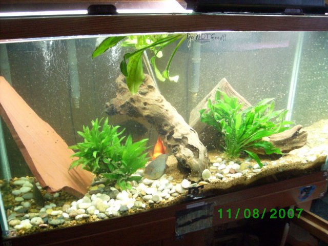 SANY0505.JPG SANY0505.JPG