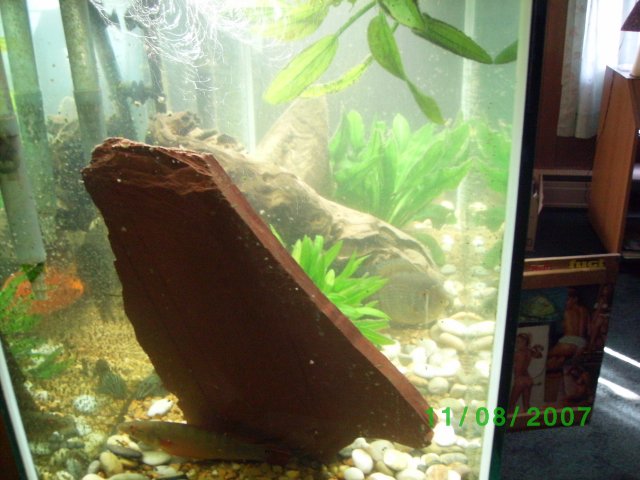 SANY0506.JPG SANY0506.JPG