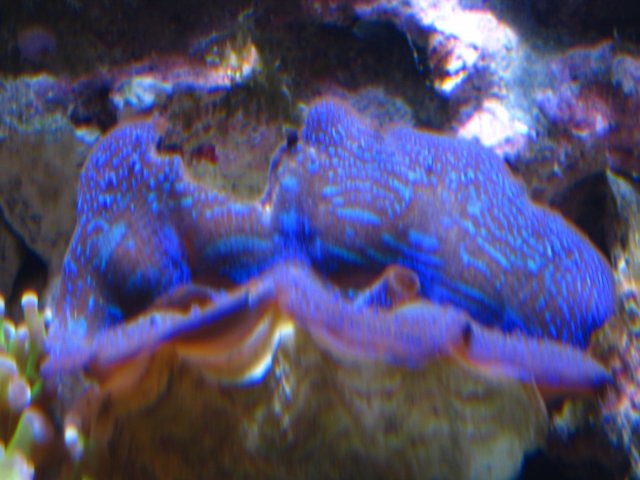 IMG_2857.JPG