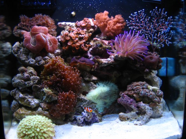 IMG_2859.JPG