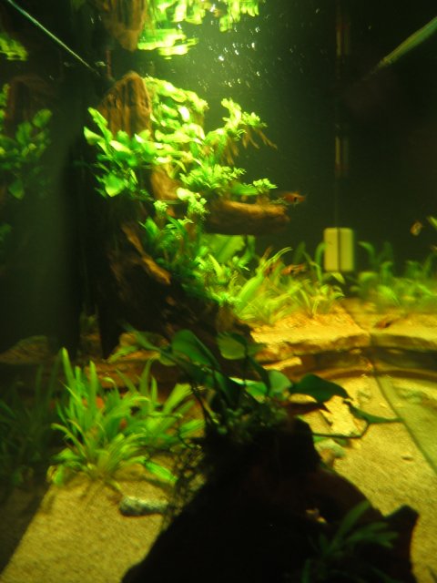 IMG_0728.JPG